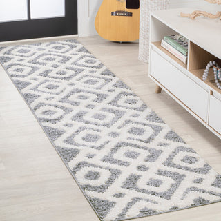Astrid Retro Trellis High-low Area Rug
