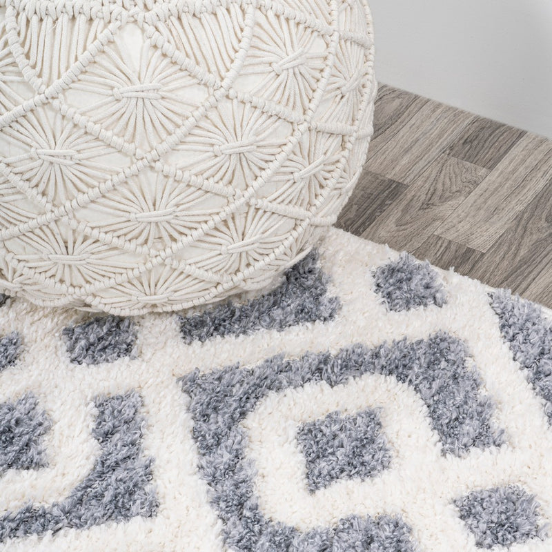 Astrid Retro Trellis High-low Area Rug