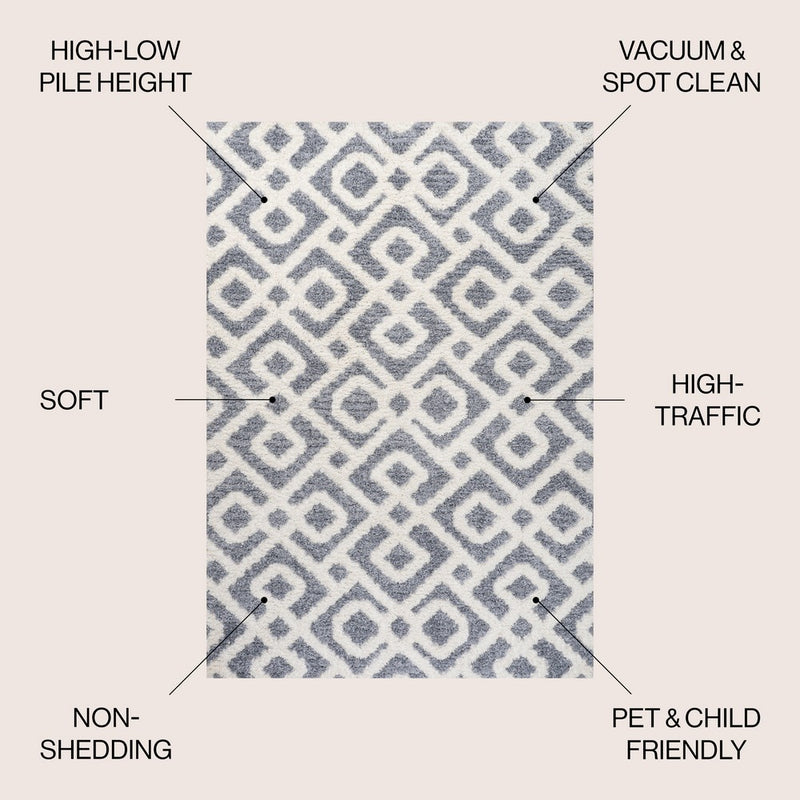 Astrid Retro Trellis High-low Area Rug