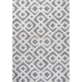 Astrid Retro Trellis High-low Area Rug