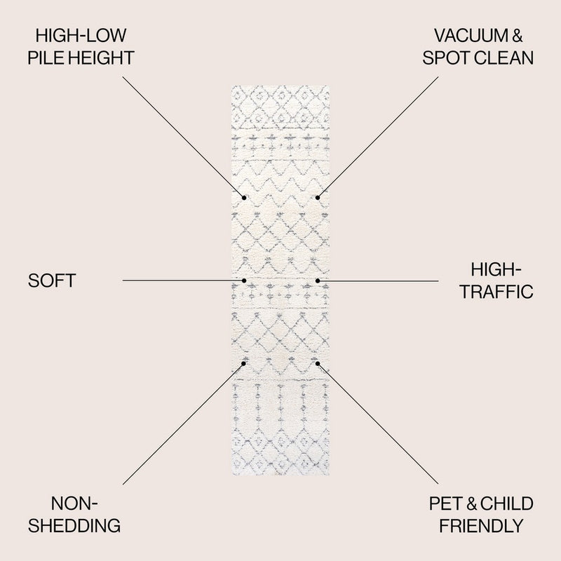 Pia Moroccan Trellis Plush Carved Area Rug