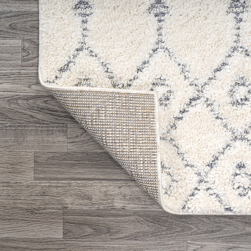 Pia Moroccan Trellis Plush Carved Area Rug