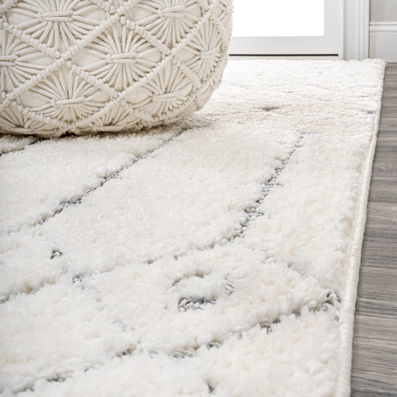 Pia Moroccan Trellis Plush Carved Area Rug