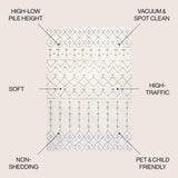 Pia Moroccan Trellis Plush Carved Area Rug