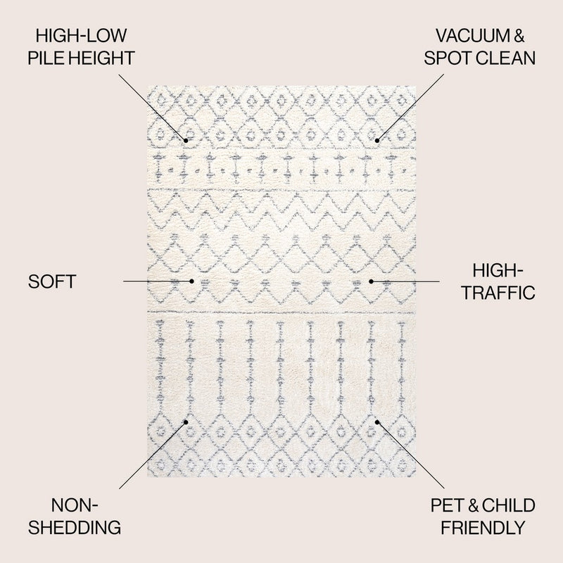 Pia Moroccan Trellis Plush Carved Area Rug