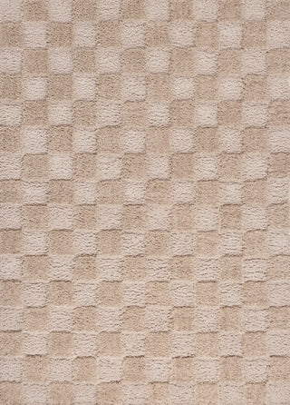 Rook Geometric Checker High-low Shag Area Rug