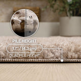Bullseye Concentric Ring High-low Shag Area Rug