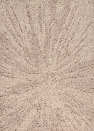 Aurealis Sunburst Abstract High-low Shag Area Rug