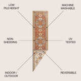 Bijan Traditional Vintage Medallion Reversible Machine-Washable Indoor/Outdoor Area Rug