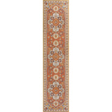Bijan Traditional Vintage Medallion Reversible Machine-Washable Indoor/Outdoor Area Rug
