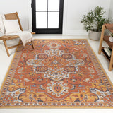 Bijan Traditional Vintage Medallion Reversible Machine-Washable Indoor/Outdoor Area Rug