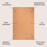 Ethan Modern Flatweave Solid  Area Rug