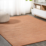 Ethan Modern Flatweave Solid  Area Rug