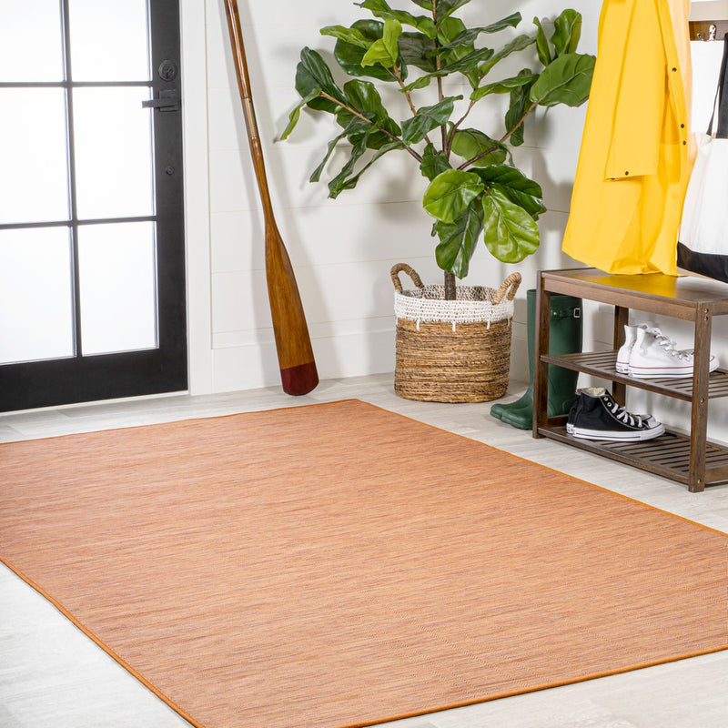Ethan Modern Flatweave Solid  Area Rug