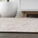 Ethan Modern Flatweave Solid  Area Rug