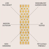 Darcy Traditional Geometric Bold Gingham Area Rug