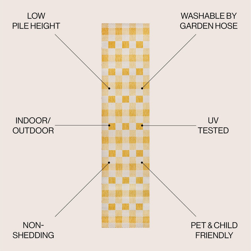Darcy Traditional Geometric Bold Gingham Area Rug