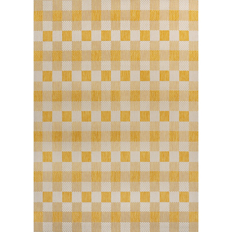 Darcy Traditional Geometric Bold Gingham Area Rug