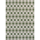 Darcy Traditional Geometric Bold Gingham Area Rug