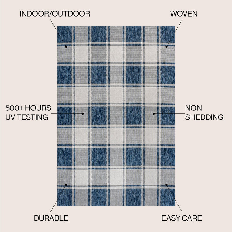 Sabine Traditional Farmhouse Bold Gingham Area Rug