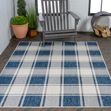 Sabine Traditional Farmhouse Bold Gingham Area Rug