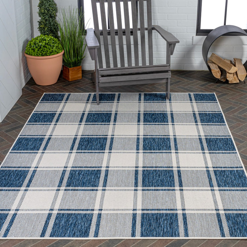 Sabine Traditional Farmhouse Bold Gingham Area Rug
