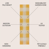 Sabine Traditional Farmhouse Bold Gingham Area Rug