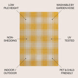 Sabine Traditional Farmhouse Bold Gingham Area Rug