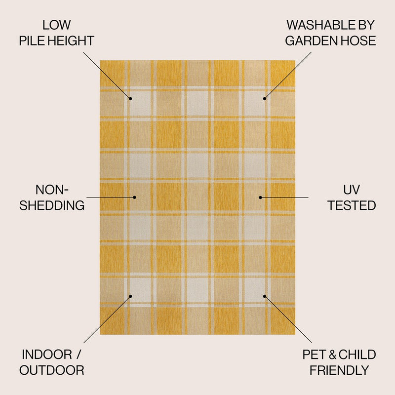 Sabine Traditional Farmhouse Bold Gingham Area Rug