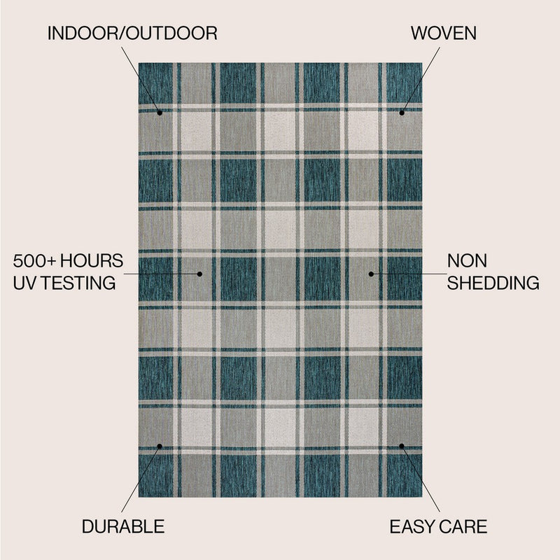 Sabine Traditional Farmhouse Bold Gingham Area Rug