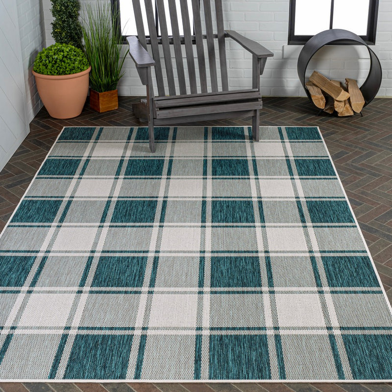 Sabine Traditional Farmhouse Bold Gingham Area Rug