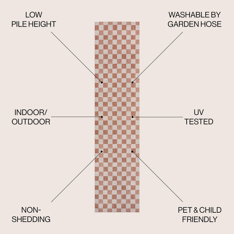 Aimee Traditional Cottage Checkerboard Indoor/Outdoor Area Rug