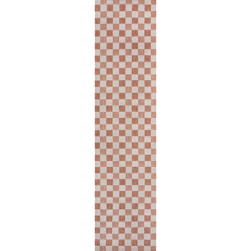 Aimee Traditional Cottage Checkerboard Indoor/Outdoor Area Rug
