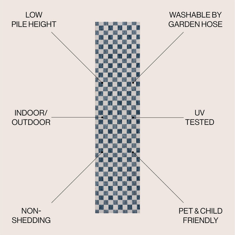 Aimee Traditional Cottage Checkerboard Indoor/Outdoor Area Rug