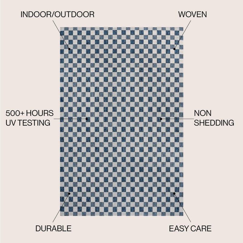 Aimee Traditional Cottage Checkerboard Indoor/Outdoor Area Rug