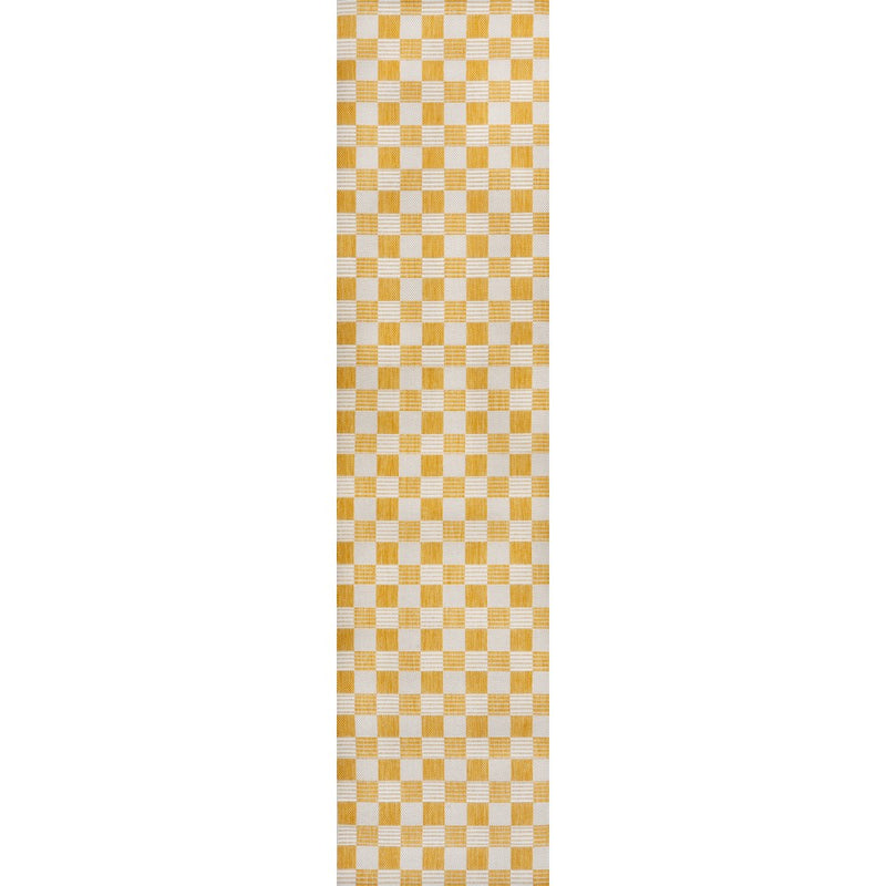 Aimee Traditional Cottage Checkerboard Indoor/Outdoor Area Rug