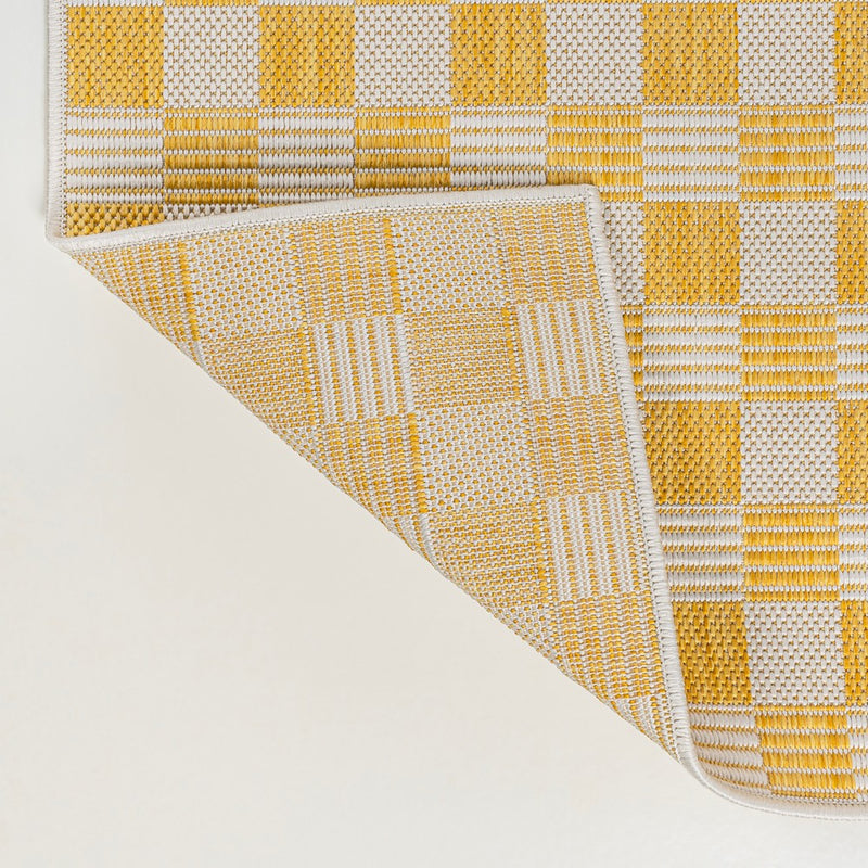 Aimee Traditional Cottage Checkerboard Indoor/Outdoor Area Rug