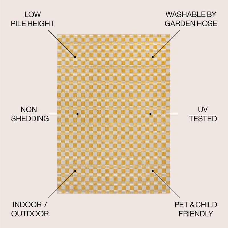 Aimee Traditional Cottage Checkerboard Indoor/Outdoor Area Rug