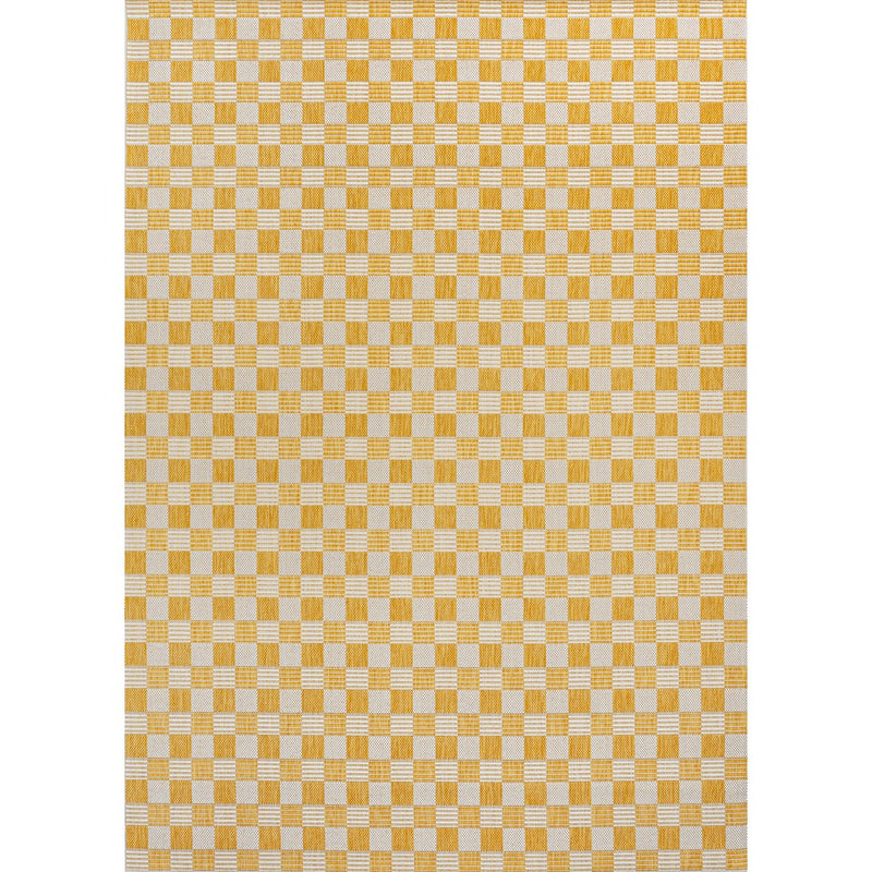 Aimee Traditional Cottage Checkerboard Indoor/Outdoor Area Rug