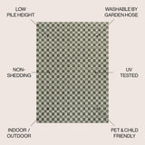 Aimee Traditional Cottage Checkerboard Indoor/Outdoor Area Rug