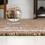 Lido Traditional Casual Pinstripe Border Area Rug