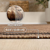Lido Traditional Casual Pinstripe Border Area Rug