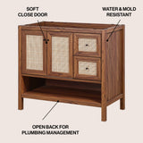 Jasper Rattan Modern Coastal 2-Shelf Bath Vanity Cabinet Only (Sink Basin Not Included)