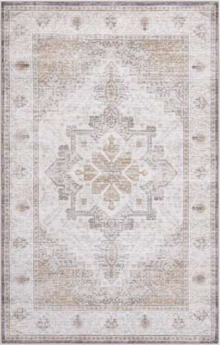 Eleanor Vintage Medallion Border Machine-washable Area Rug