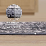 Eleanor Vintage Medallion Border Machine-washable Area Rug