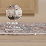 Eleanor Vintage Medallion Border Machine-washable Area Rug