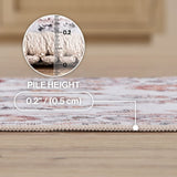 Arabella Vintage Floral Border Machine-washable Area Rug