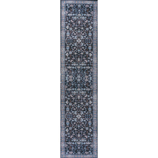 Kemer All-over Persian Washable Area Rug