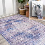 Regis Bohemian Medallion Washable Area Rug