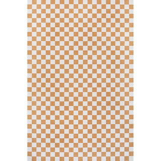 Ainsley Modern Cottage Checkerboard Washable Area Rug